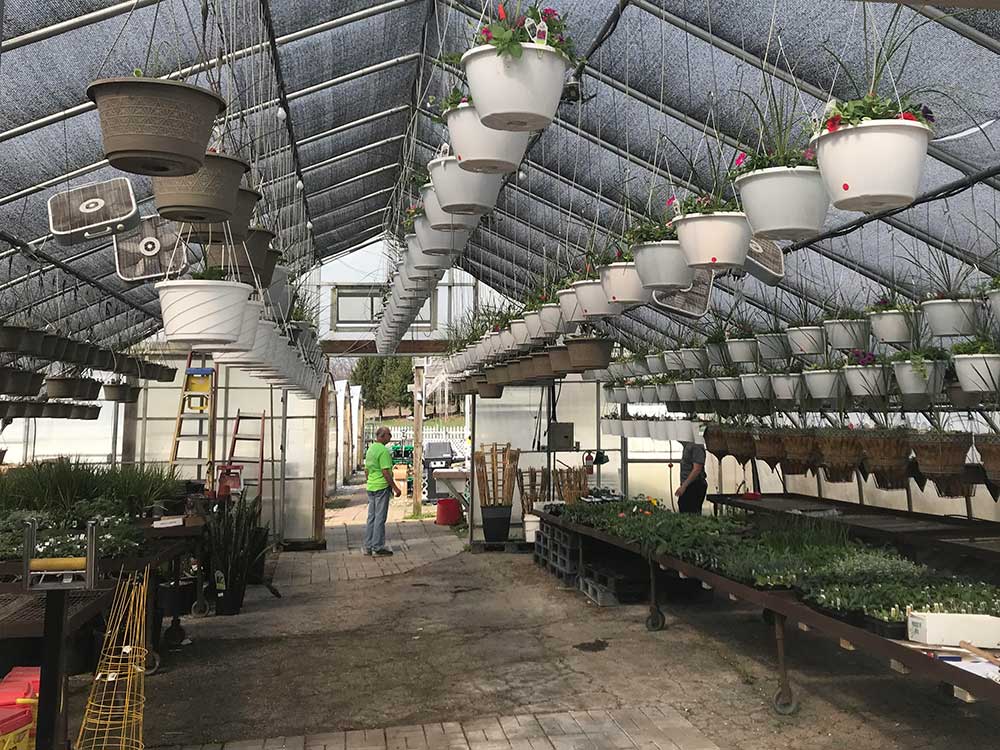 Greenhouse - Sambuca’s Country Market and Greenhouse