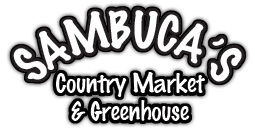 Sambuca's